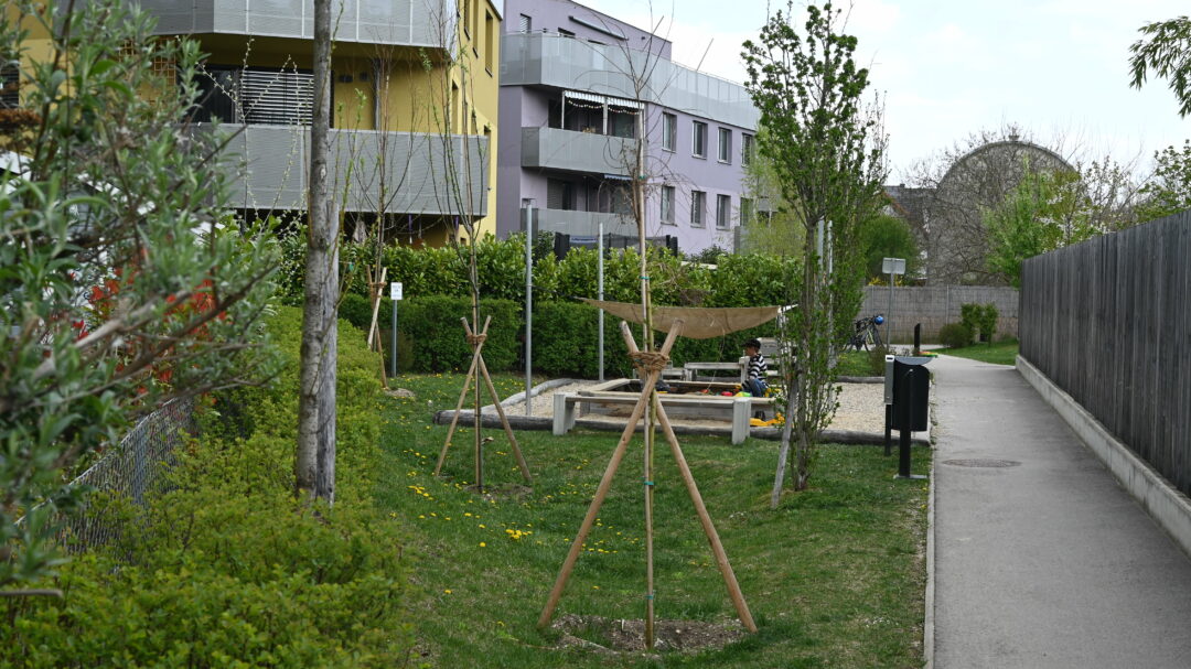 Freiraum Otterweg