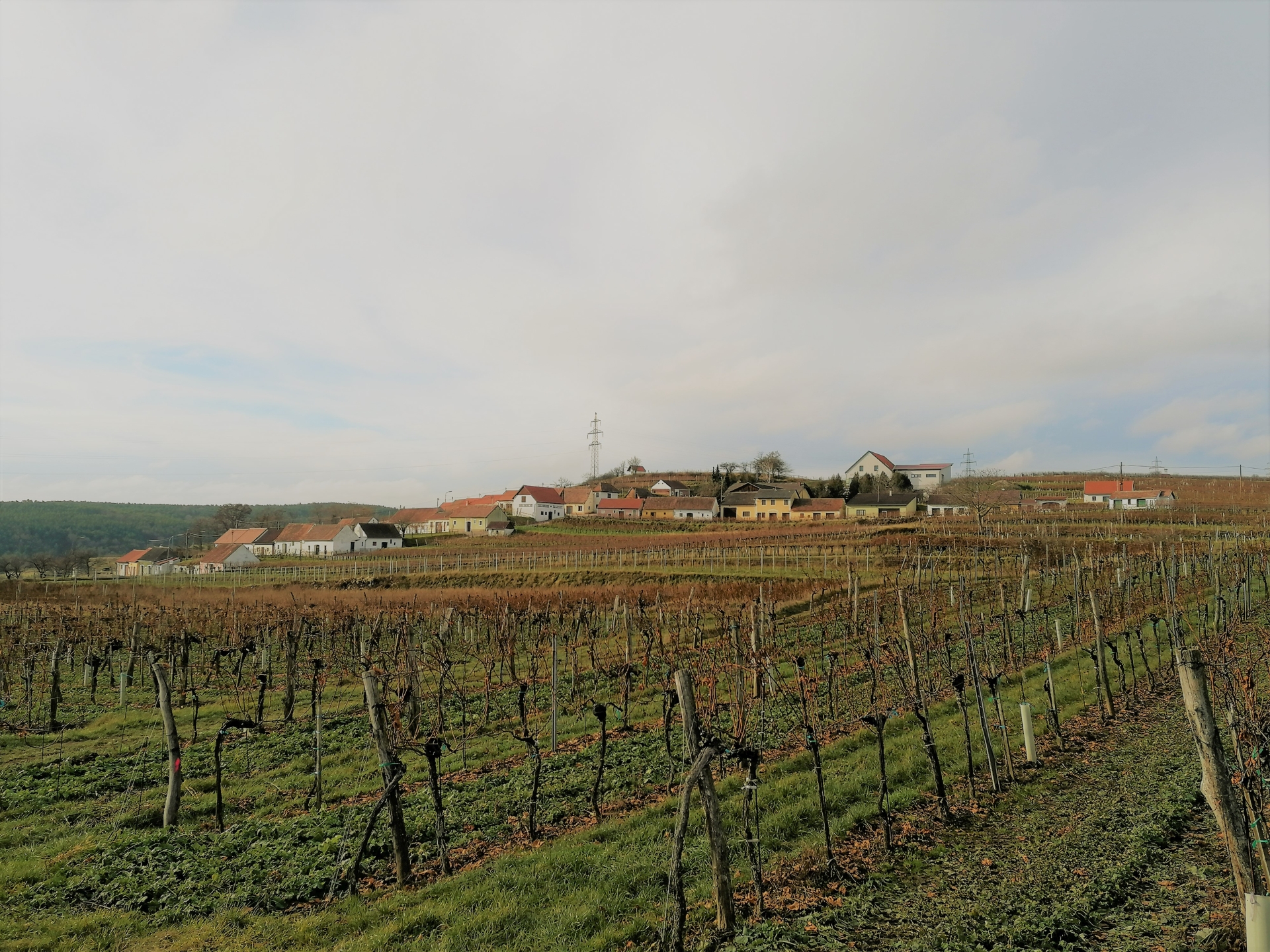 Kellergasse Mittelberg