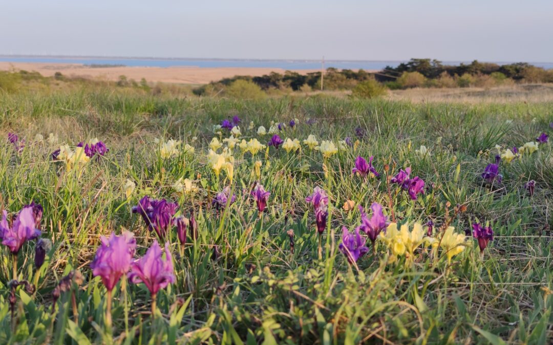 Etablierung eines Welterbe-Panoramaweges