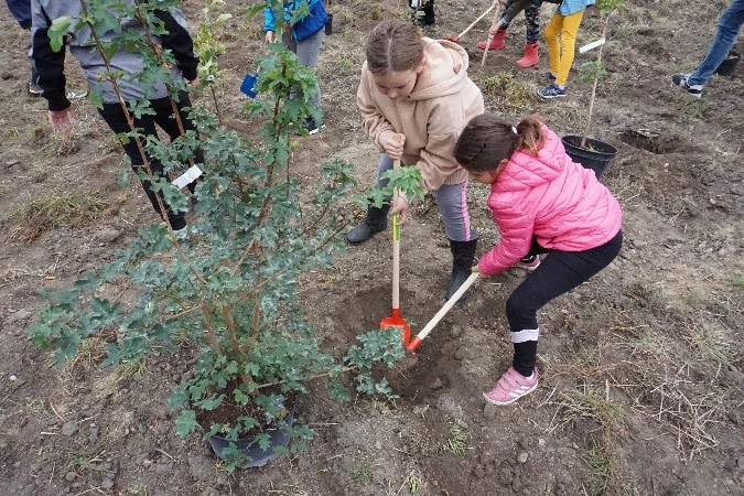 ÖBB Nordbahn – Bäume pflanzen mit Kindern der VS Weikendorf