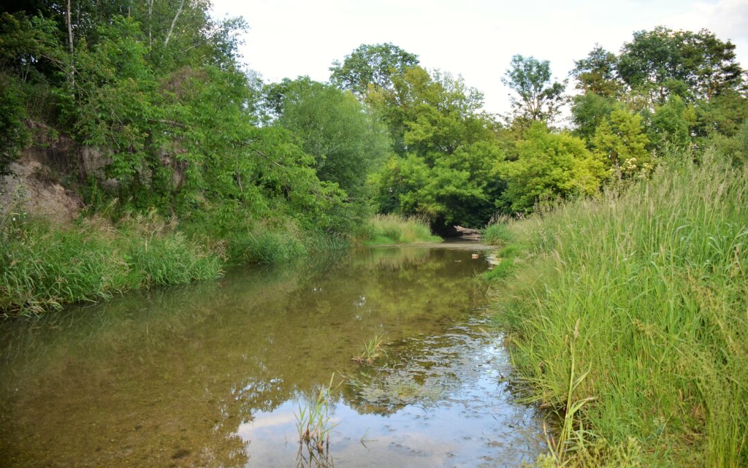 Natura 2000 Managementpläne NÖ sind online