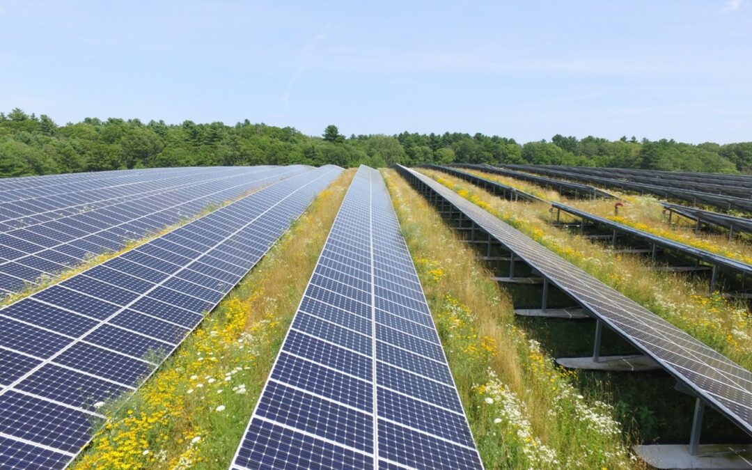 Wegweisend in der Energieraumplanung PV Leitfaden Niederösterreich jetzt online