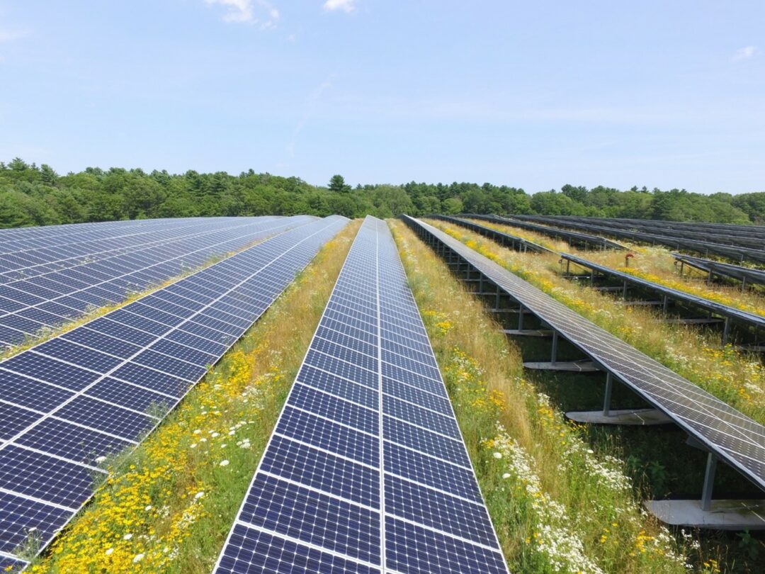 Wegweisend in der Energieraumplanung PV Leitfaden Niederösterreich jetzt online