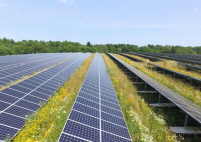 Wegweisend in der Energieraumplanung PV Leitfaden Niederösterreich jetzt online