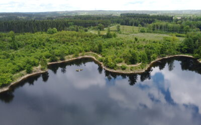 Artikel über „Nationalpark Kampwald“ in Fachzeitschrift erschienen