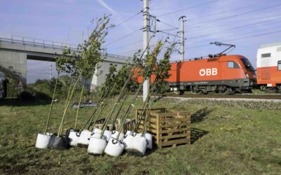 ÖBB Nordbahn – Zweite Bepflanzungsaktion mit Kindern