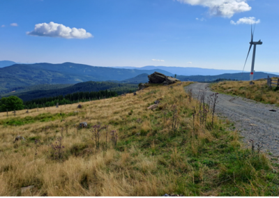 Beschleunigungsgebiete für Windkraft – Kärnten